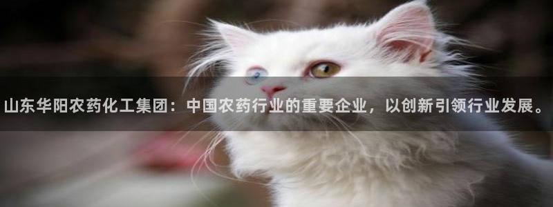 球盟会官方登录平台：山东华阳农药化工集团：中国农药行业的重要