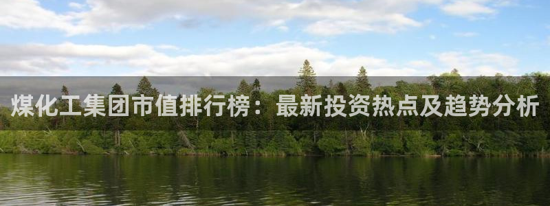 球盟会和中欧：煤化工集团市值排行榜：最新投资热点及趋势分析