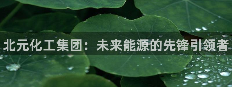 球盟会登录平台入口：北元化工集团：未来能源的先锋引领者