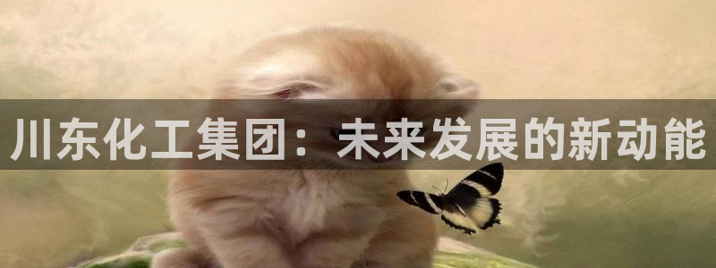 球盟会官方网入口