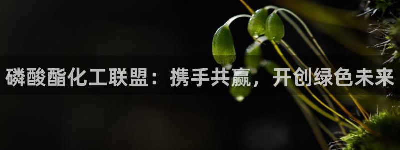 球盟会登录平台