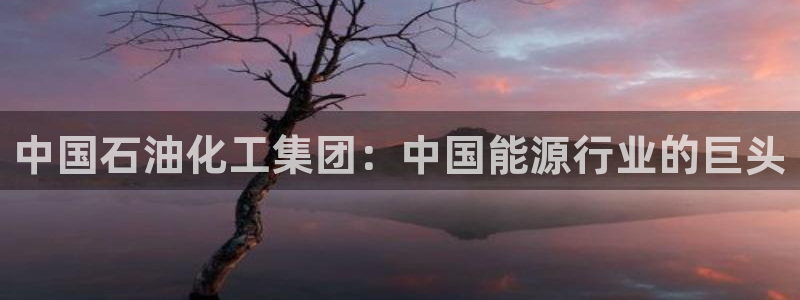 球盟会优惠码：中国石油化工集团：中国能源行业的巨头