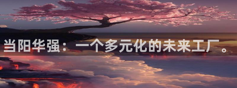 球盟会官方网入口：当阳华强：一个多元化的未来工厂。