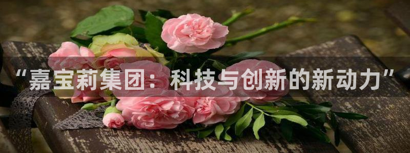 球盟会网页登录：“嘉宝莉集团：科技与创新的新动力”