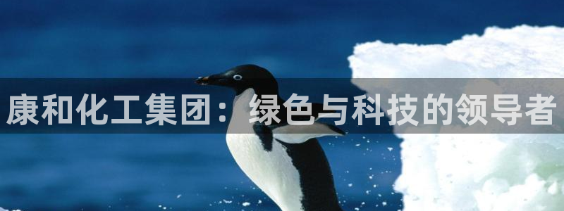 球盟会可靠不：康和化工集团：绿色与科技的领导者