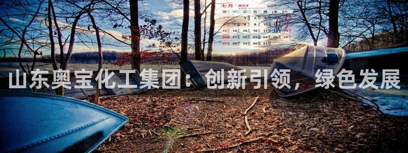 球盟会电子：山东奥宝化工集团：创新引领，绿色发展