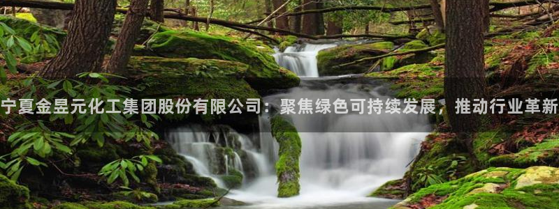 球盟会用的客服聊天是哪个软件