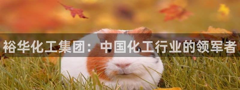 球盟会app网址多少号