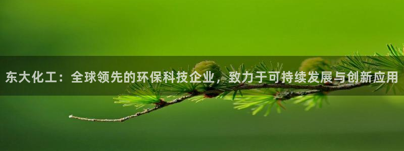 千亿球盟会：东大化工：全球领先的环保科技