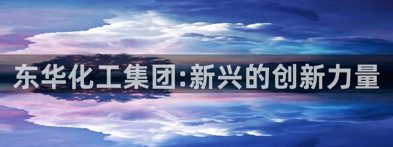 球盟会邮箱：东华化工集团:新兴的创新力量