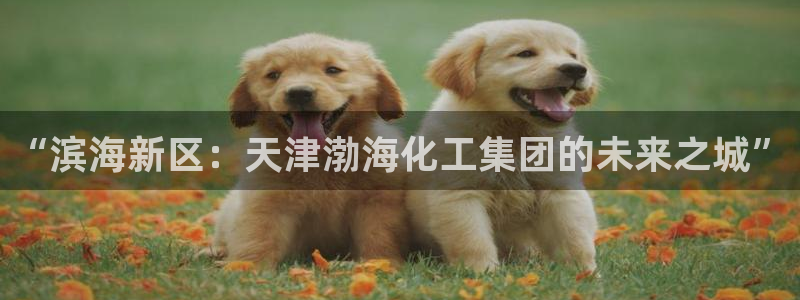 球盟会官方最新入口：“滨海新区：天津渤海化工集团的未来之城”