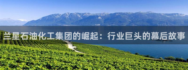 球盟会qmh登录地址