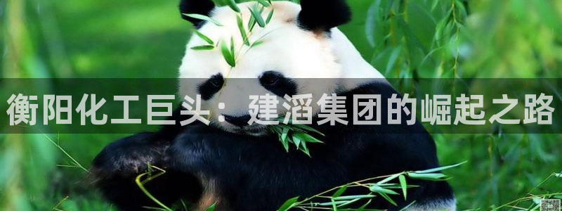 球盟会在线登录