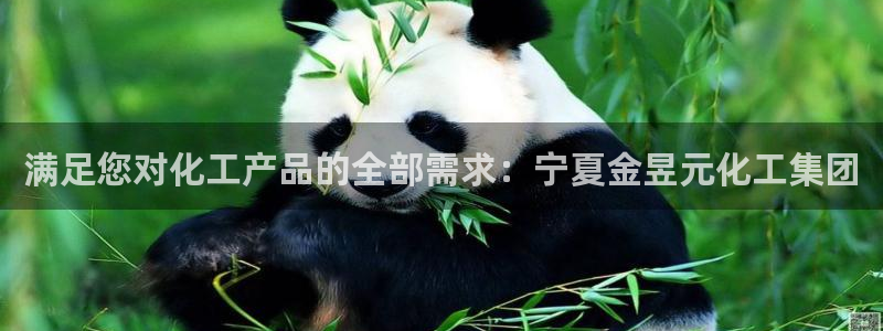 球盟会APP最新地址：满足您对化工产品的全部需求：宁夏金昱元