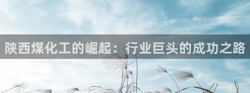 球盟会黑款吗知乎：陕西煤化工的崛起：行业巨头的成功之路