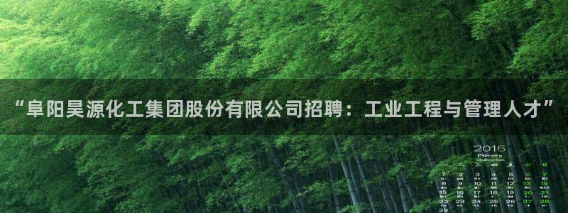 球盟会体验金：“阜阳昊源化工集团股份有限公司招聘：工业工程与