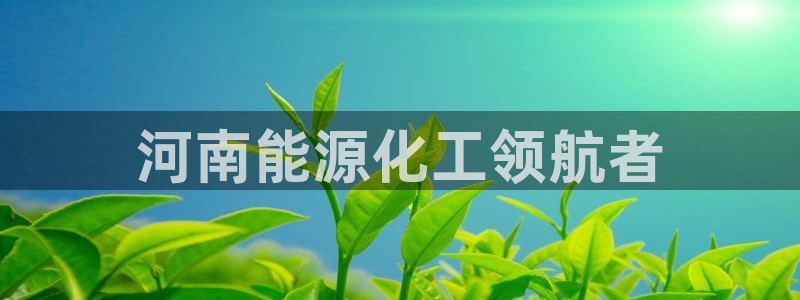 球盟会网页登录app下载地址：河南能源化工领航者