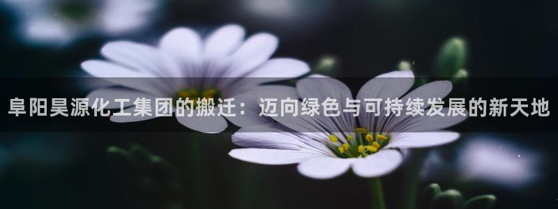 球盟会官方网入口：阜阳昊源化工集团的搬迁：迈向绿色与可持续发