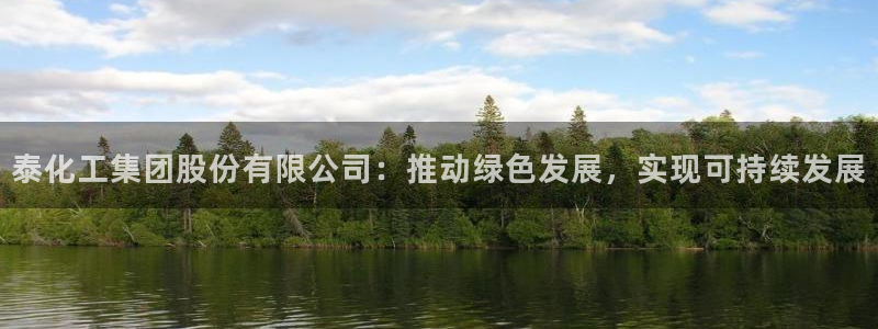 球盟会地址：泰化工集团股份有限公司：推动绿色发展，实现可持续