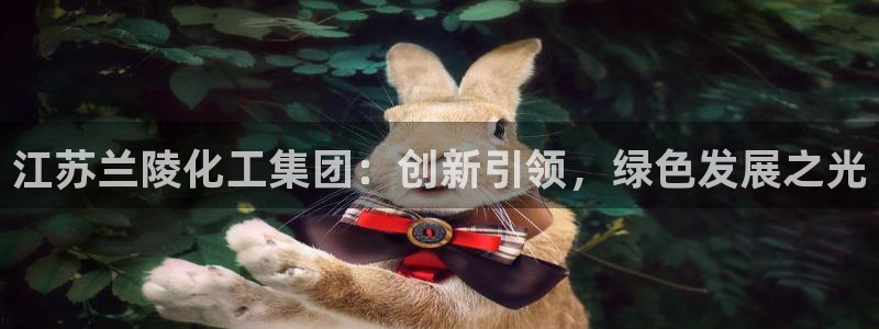 球盟会官方网址入口：江苏兰陵化工集团：创新引领，绿色发展之光