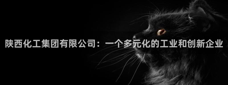 球盟会APP下载：陕西化工集团有限公司：一个多元化的工业和创
