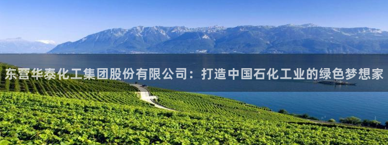 球盟会黑款吗：东营华泰化工集团股份有限公司：打造中国石化工业