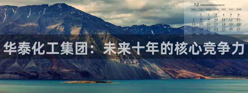 球盟会qmh官网：华泰化工集团：未来十年的核心竞争力