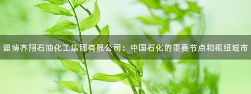 球盟会在线登录官网：淄博齐翔石油化工集团有限公司：中国石化的
