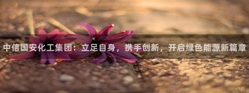 球盟会黑款吗知乎小说：中信国安化工集团：立足自身，携手创新，