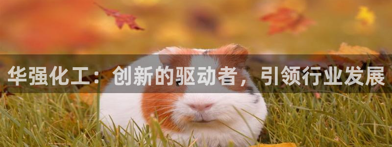 球盟会最新网：华强化工：创新的驱动者，引领行业发展