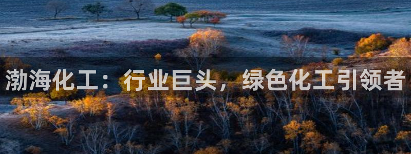 球盟会官网app下载