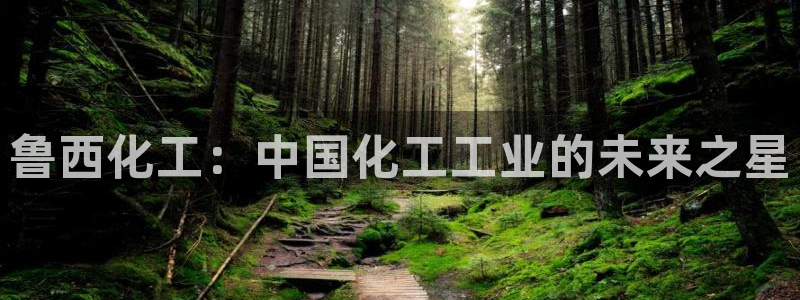 球盟会登陆：鲁西化工：中国化工工业的未来之星