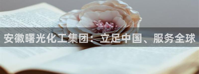 球盟会官方：安徽曙光化工集团：立足中国、服务全球