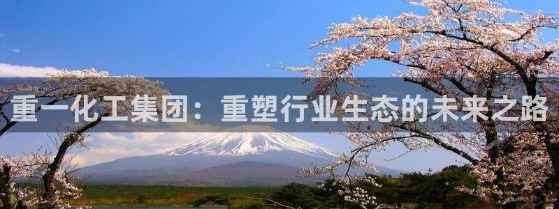 球盟会里面有打牌的嘛：重一化工集团：重塑行业生态的未来之路