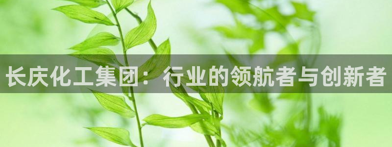 球盟会几点玩合适：长庆化工集团：行业的领航者与创新者