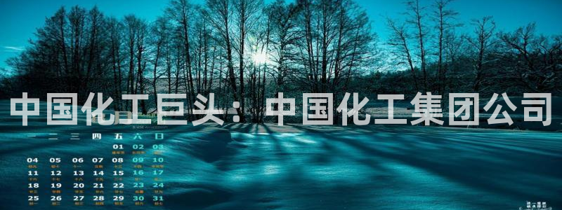 球盟会登陆入口