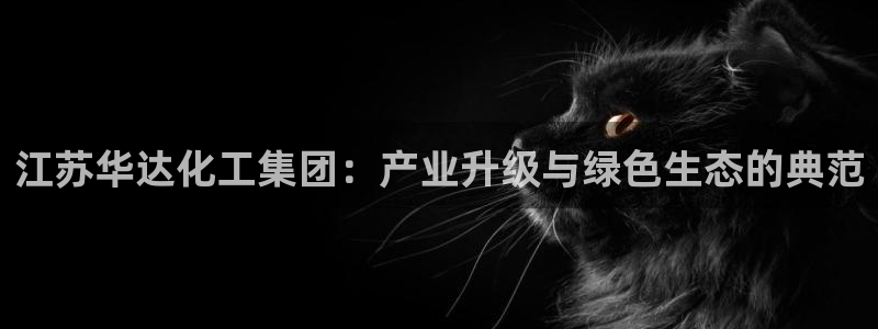 球盟会黑网：江苏华达化工集团：产业升级与绿色生态的典范