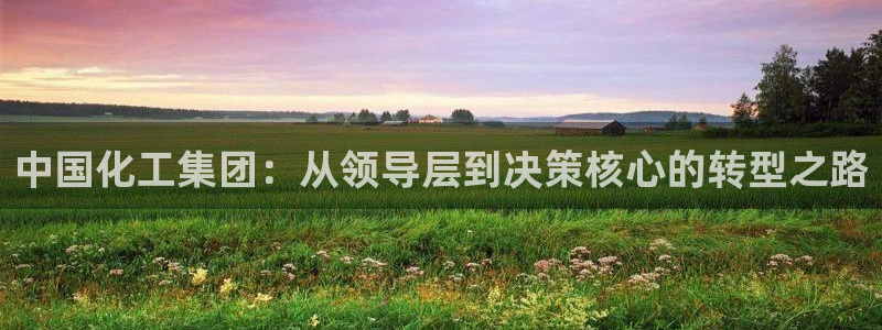 球盟会qmh - 球盟会官方网站：中国化工集团：从领导层到决