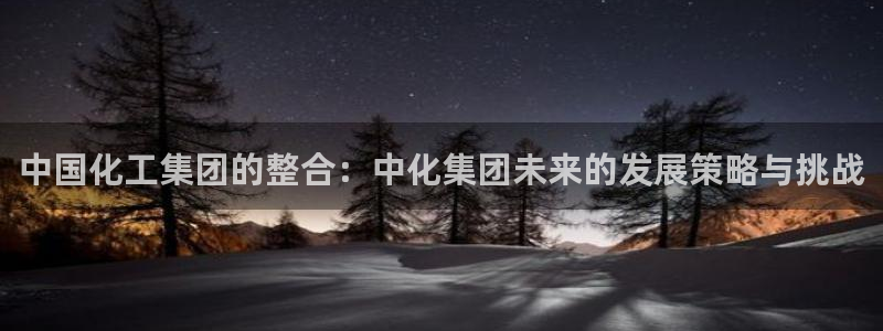 球盟会可以提现么：中国化工集团的整合：中化集团未来的发展策略