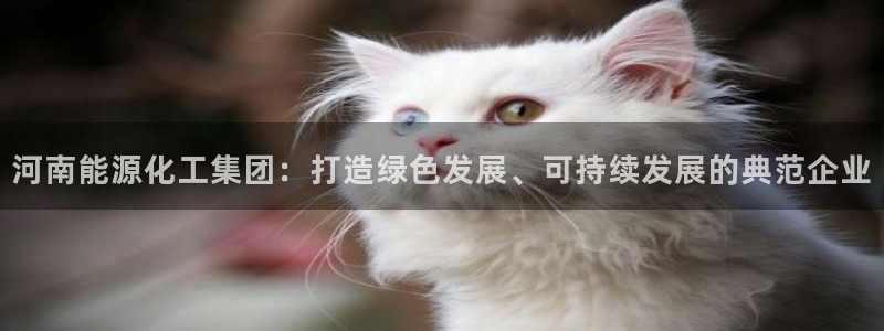 球盟会qmh - 球盟会官方网站：河南能源化工集团：打造绿色