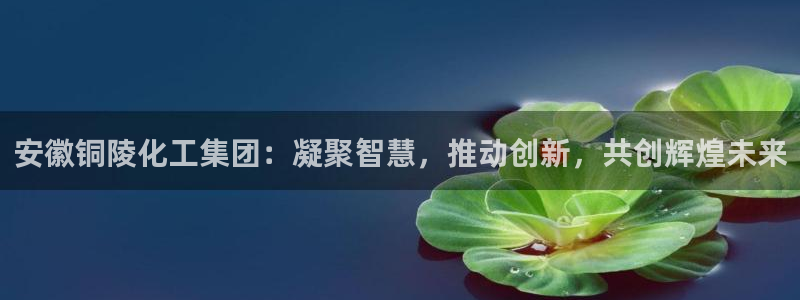 球盟会提款支付宝怎么样：安徽铜陵化工集团
