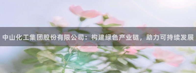 球盟会体验金：中山化工集团股份有限公司：