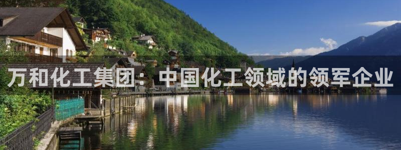 球盟会APP官网