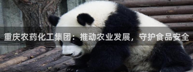 千亿球盟会乐玩