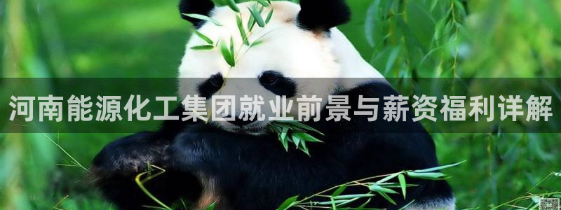 球盟会优惠领取网站：河南能源化工集团就业前景与薪资福利详解