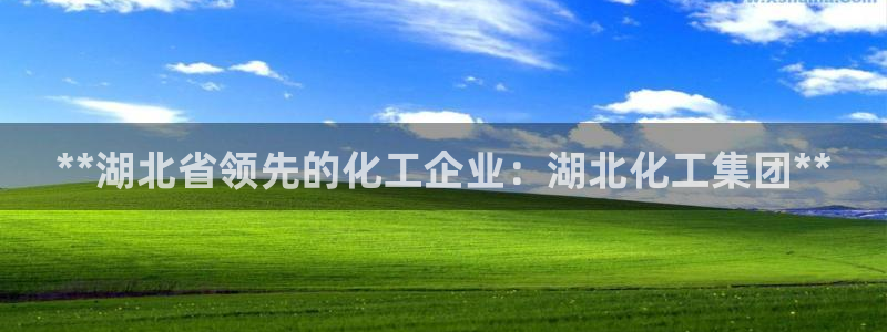 球盟会qmh网址：**湖北省领先的化工企业：湖北化工集团**
