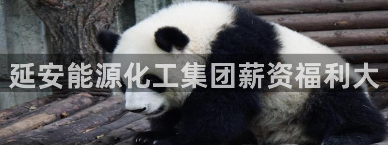 球盟会可以提现么是真的吗