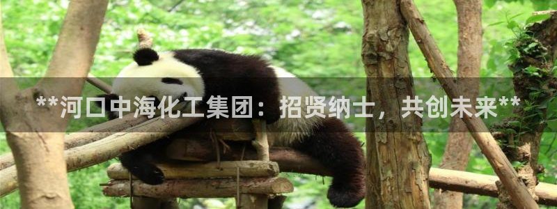 球盟会优惠券