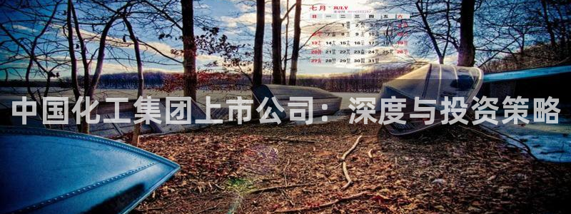 球盟会在线官网