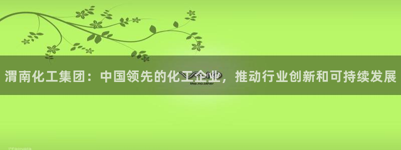 球盟会qm9：渭南化工集团：中国领先的化工企业，推动行业创新